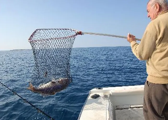 Apartmán Gorgonia In