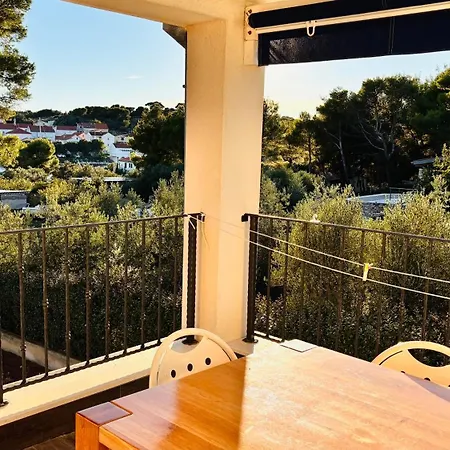 Apartment Gorgonia Suites In Verunic *