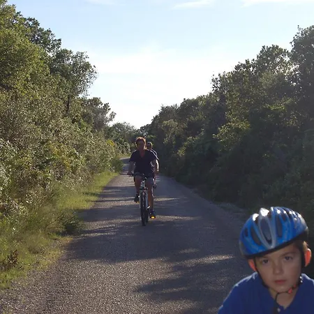 Gorgonia In Appartement *