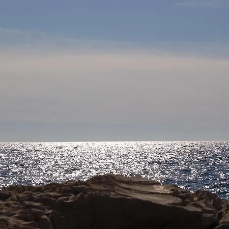 Apartament Gorgonia In Verunić