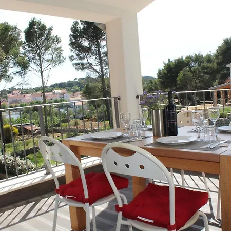 Gorgonia In Apartament *