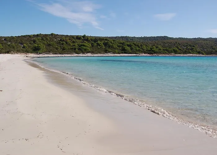 Gorgonia In Апартаменты *