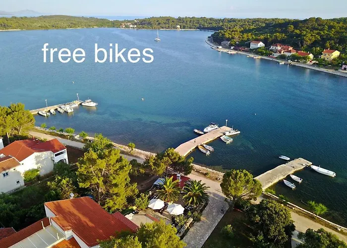 Апартаменты Gorgonia In Verunic