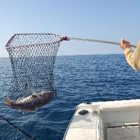 Appartement Gorgonia In