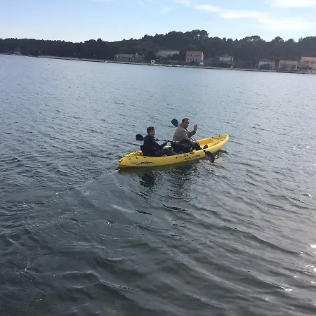 Gorgonia In Appartement